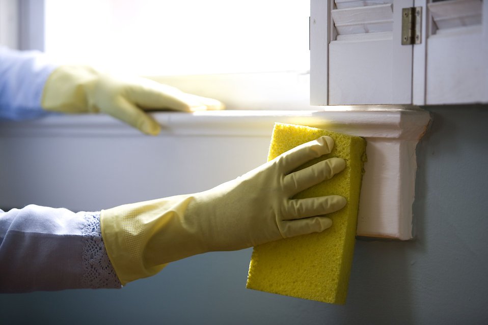 16323-an-african-american-woman-cleaning-a-window-pv