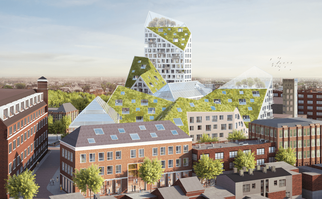 Nieuw Bergen Nieuw Bergen