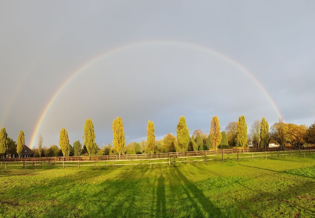 regenboog akker brabant zeelberg gras regenboog akker brabant zeelberg gras