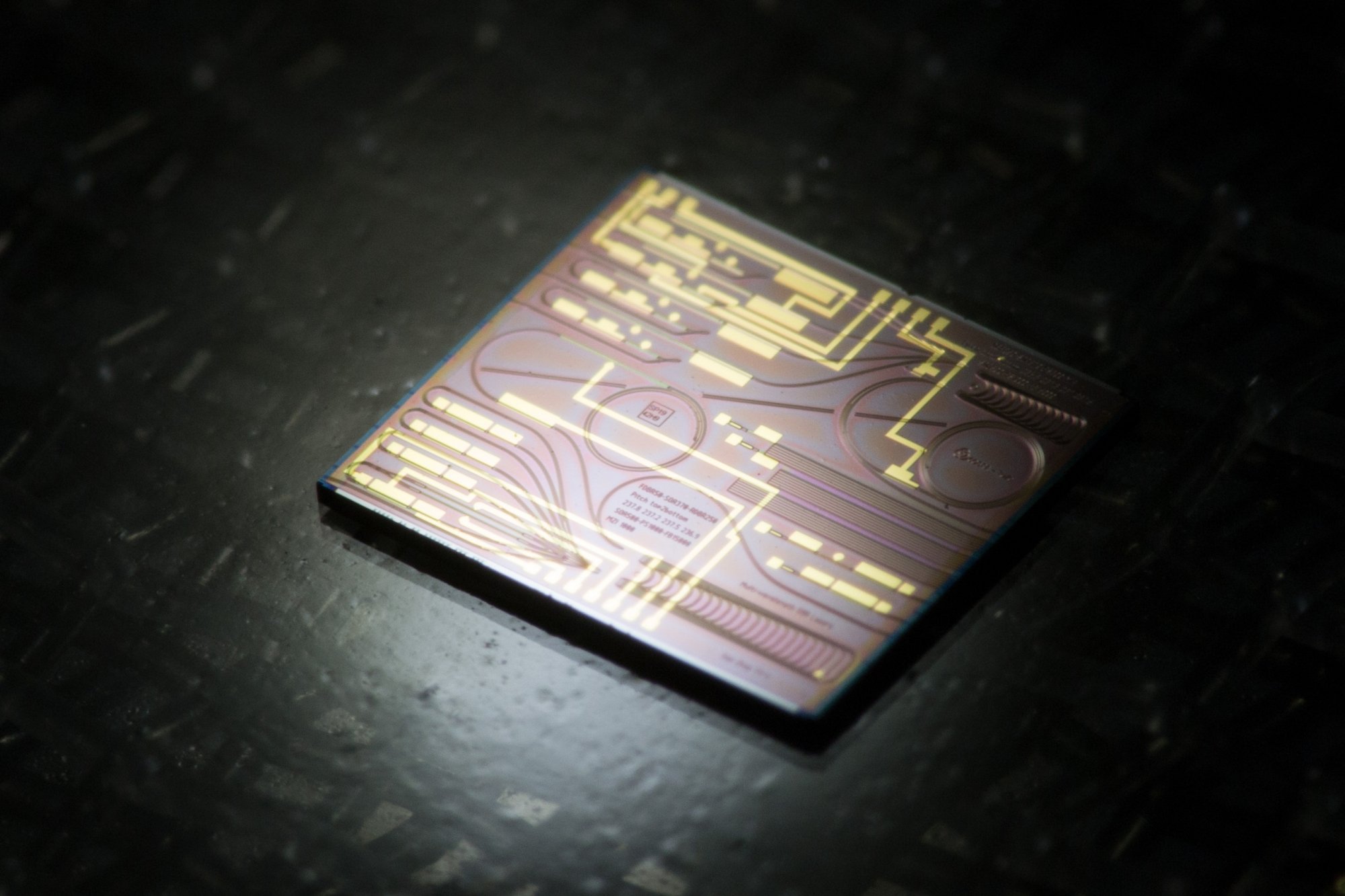 Photonic Chip