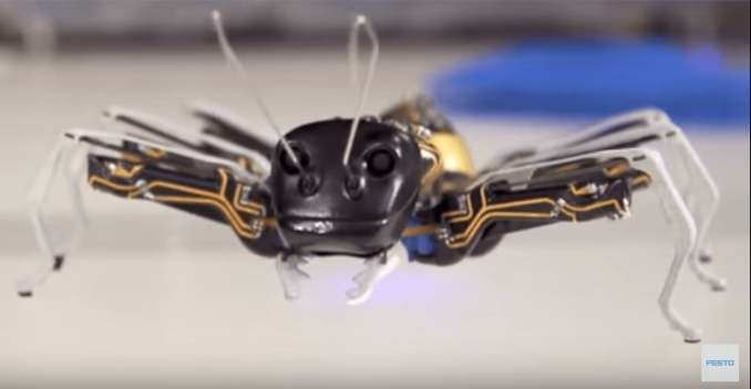 Innovation Station tis.tv, Festo ant