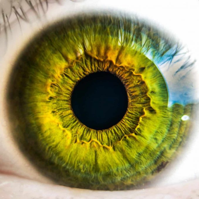 Augen planen perfekt