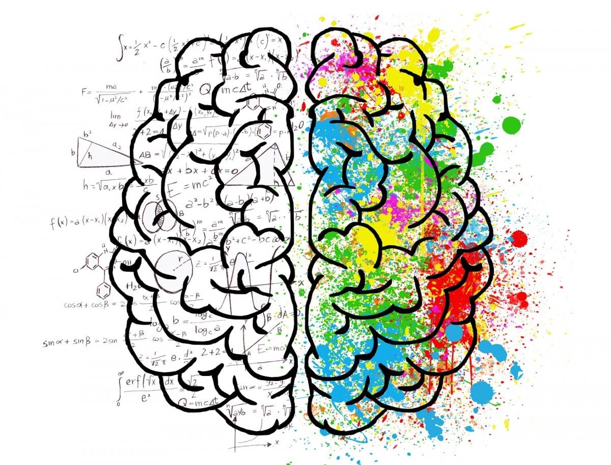 Gehirn (brain) (c) Pixabay - ElisaRiva