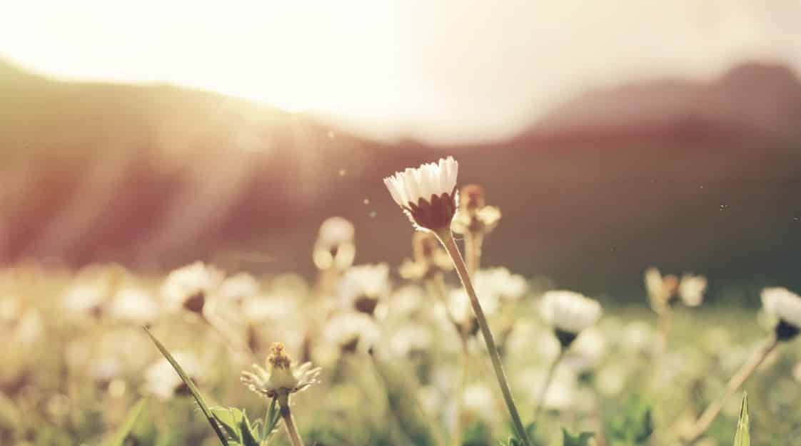 Spring
