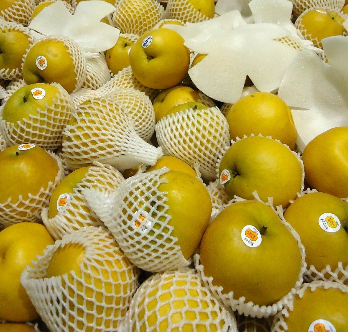 pears-91221_1280