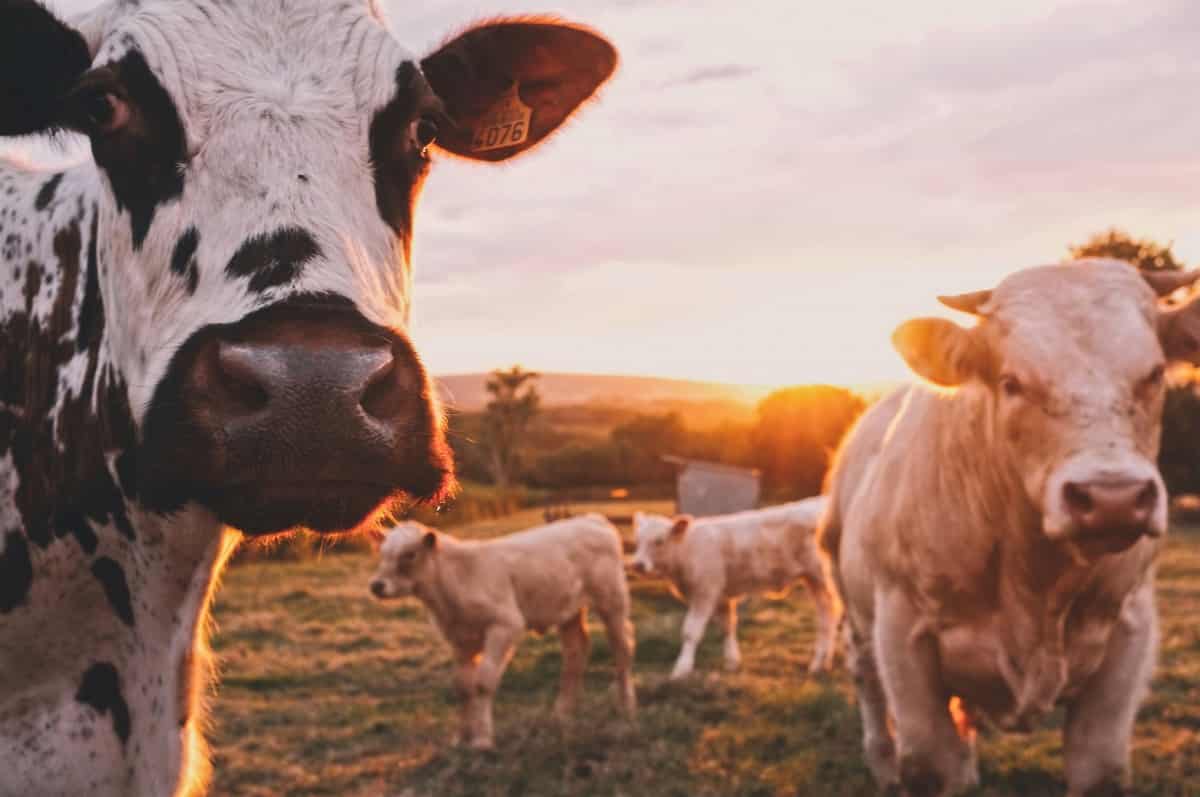 stijn-te-strake-316914-unsplash
