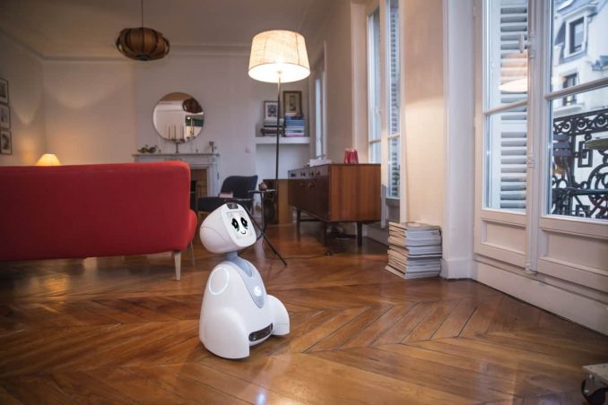 Gefährtenroboter Buddy