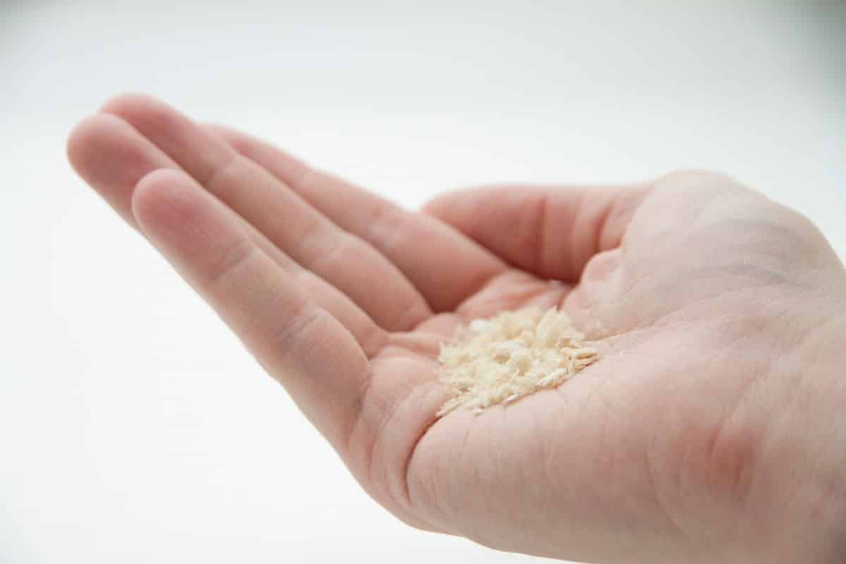 solarfoods