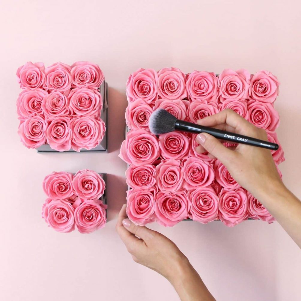 boxed roses Archieven Innovation Origins