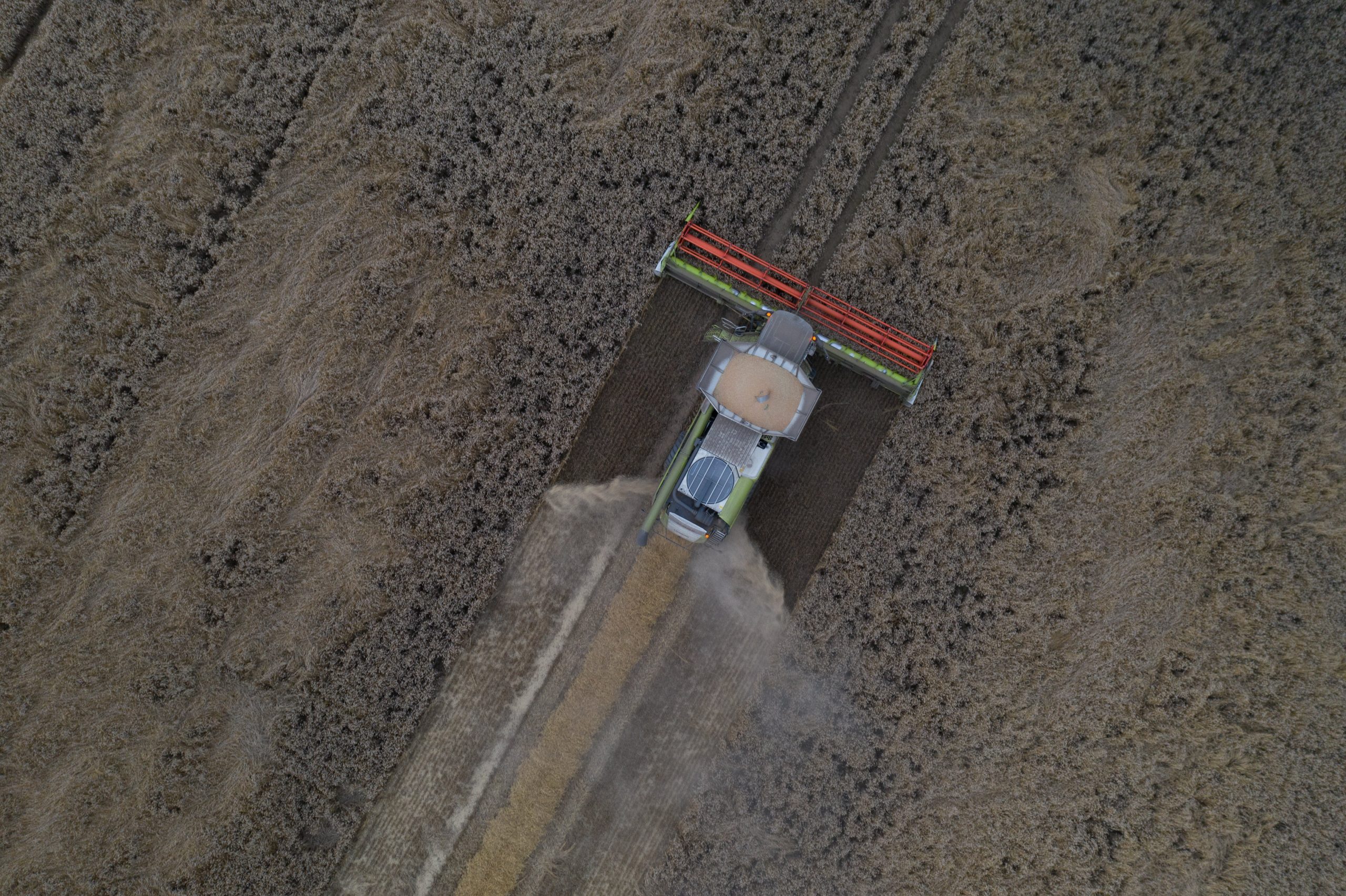 SatAgro_article_graphics_DJI_0958_SatAgro SatAgro_article_graphics_DJI_0958_SatAgro