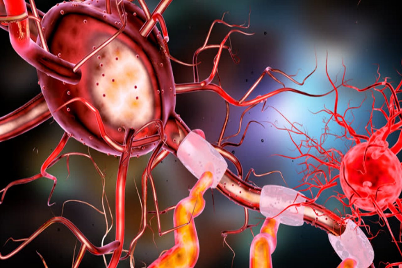 neuron-3567980_1920