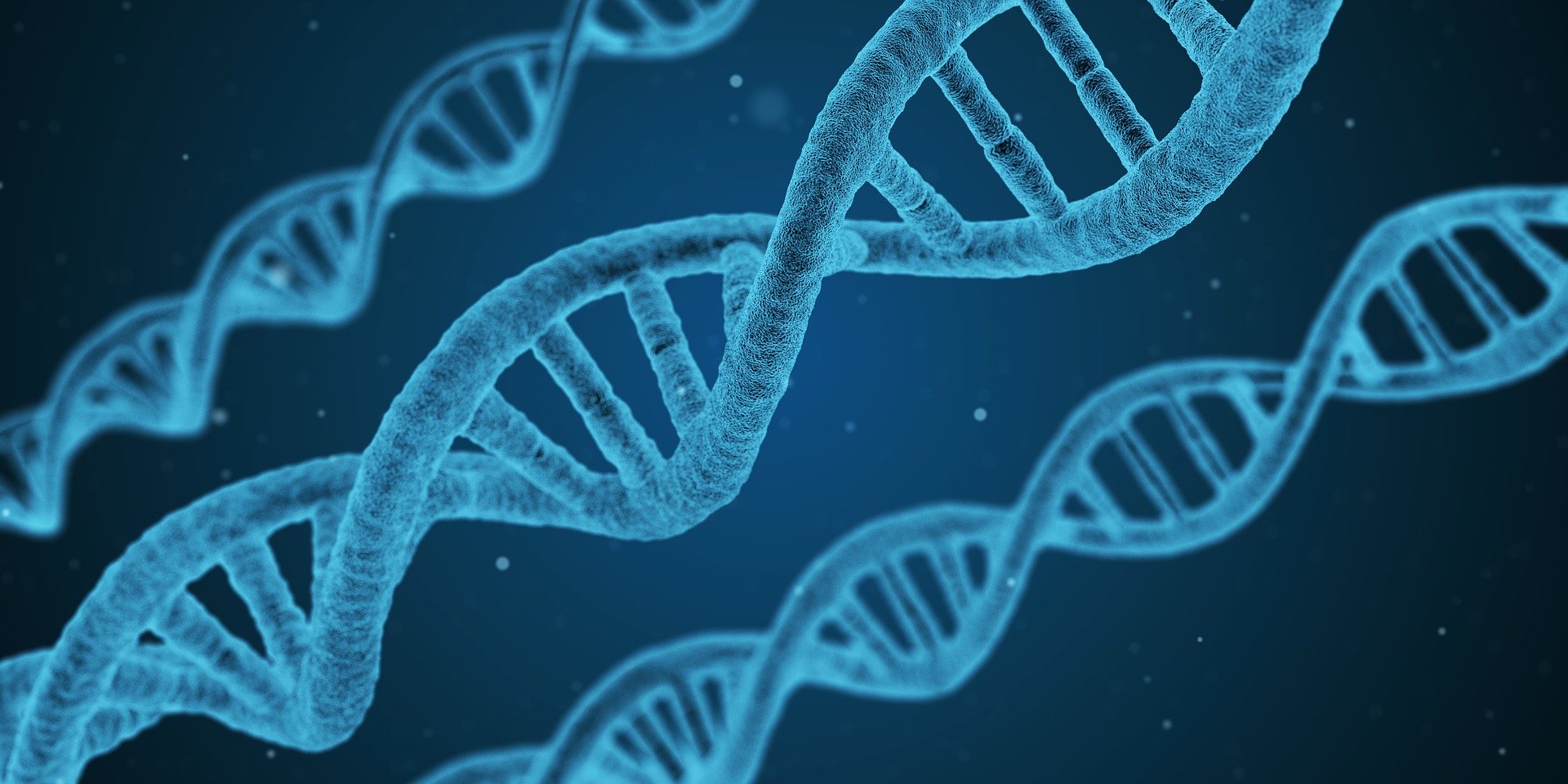 dna-1811955_1920 dna-1811955_1920