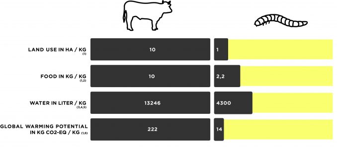 Mehlwürmern, Protein, Insektenzucht, Livin Farms