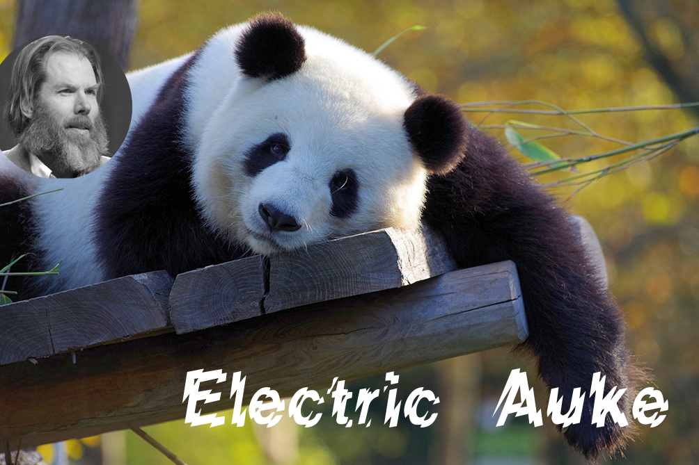 Electric Auke22_ Electric Auke22_