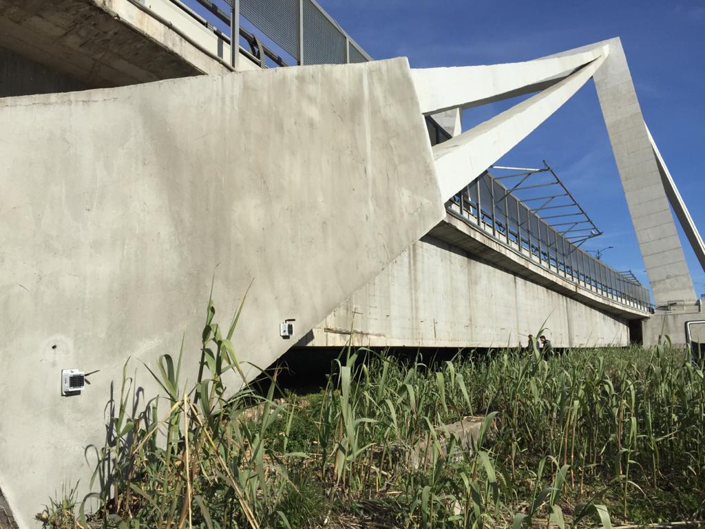 Bruggen hebben nu (bijna) het eeuwige leven