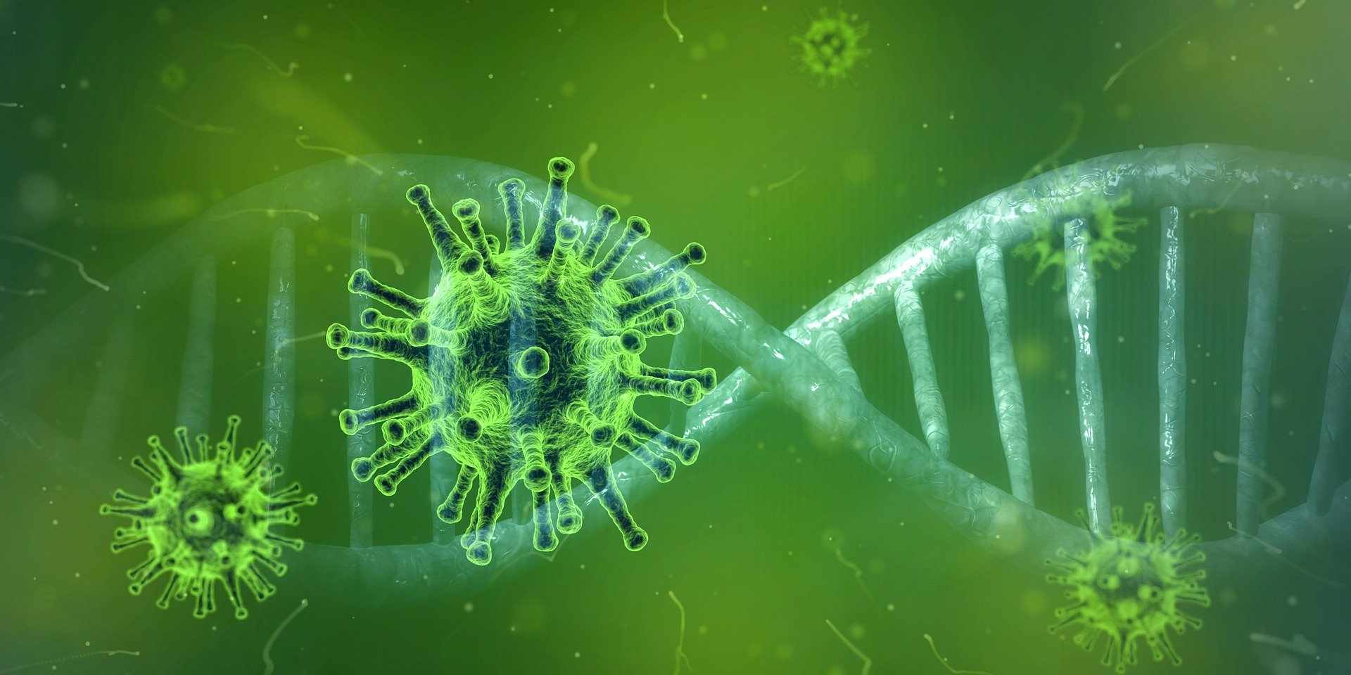 coronavirus-4833754_1920 coronavirus-4833754_1920