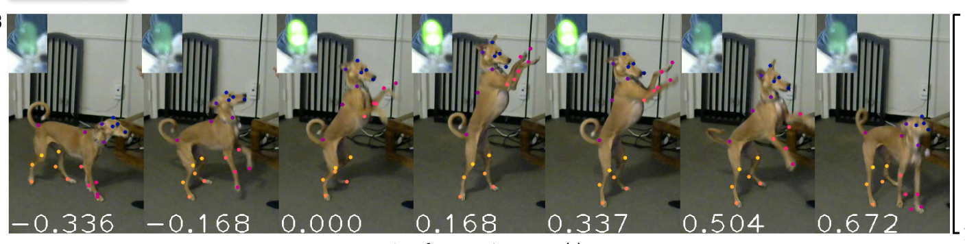 Dieren komen tot leven met ‘markerloze’ motion-capture Dieren komen tot leven met ‘markerloze’ motion-capture