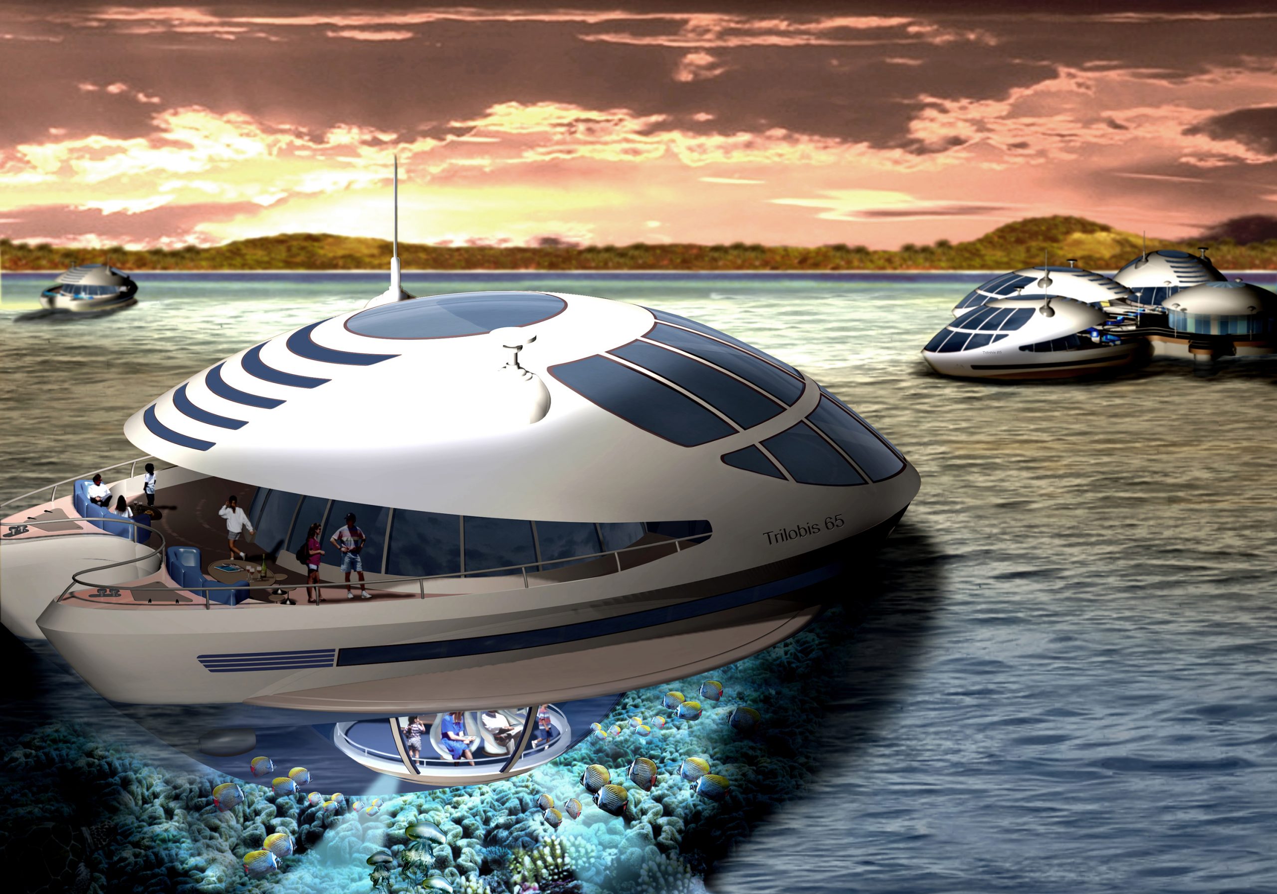 Eco-jacht en de terugkeer van de zeetrilobiet Eco-jacht en de terugkeer van de zeetrilobiet