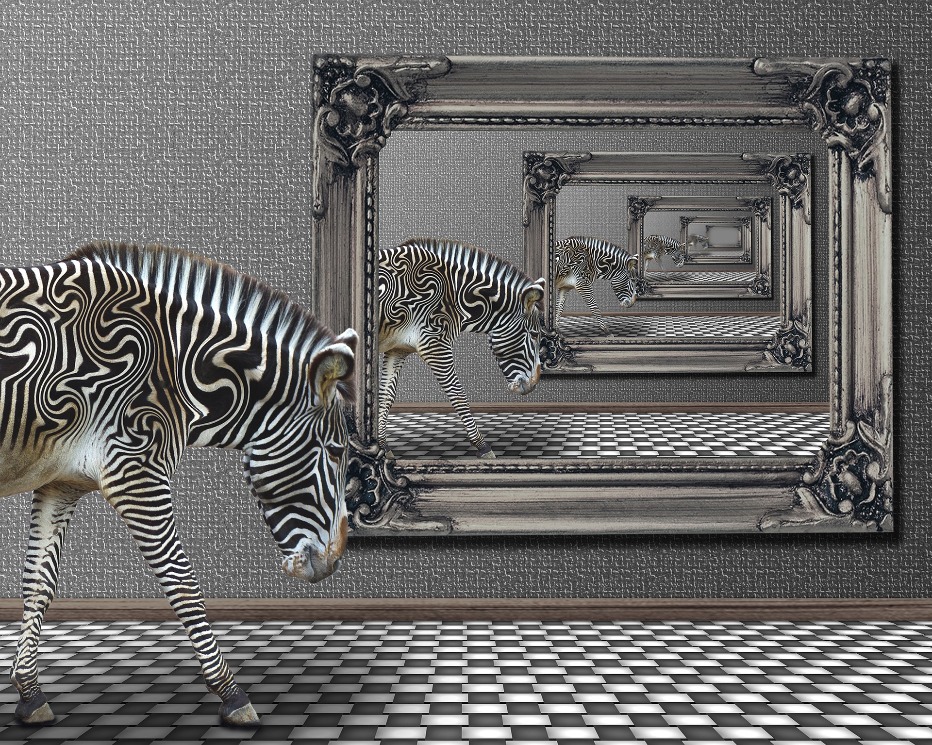 zebra-1332743_1920 zebra-1332743_1920