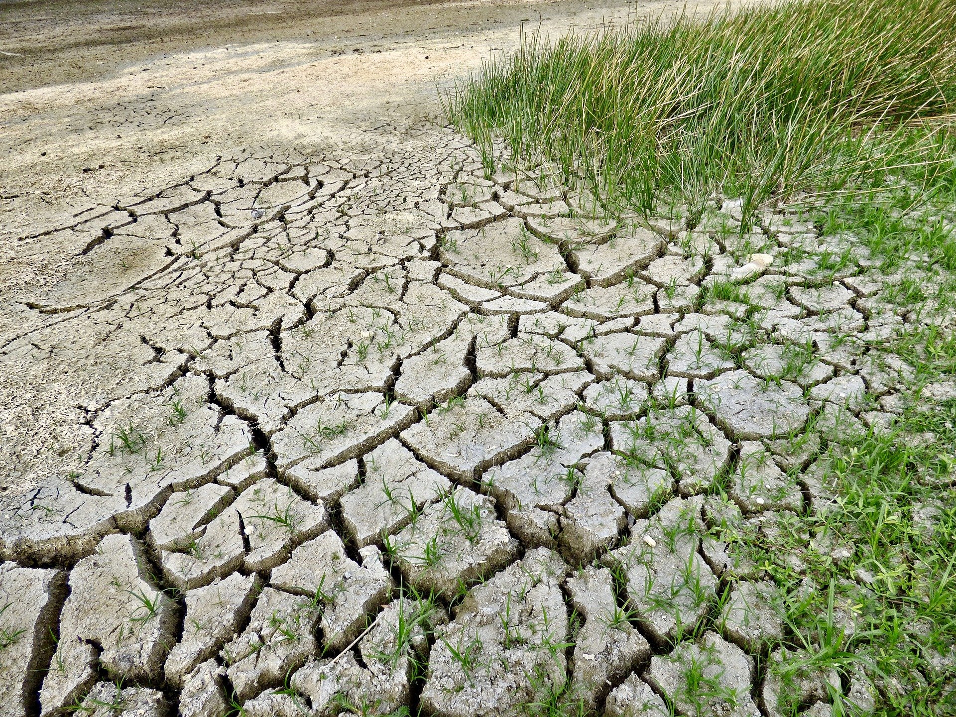 green groen klimaat climate-change-2241061_1920 green groen klimaat climate-change-2241061_1920