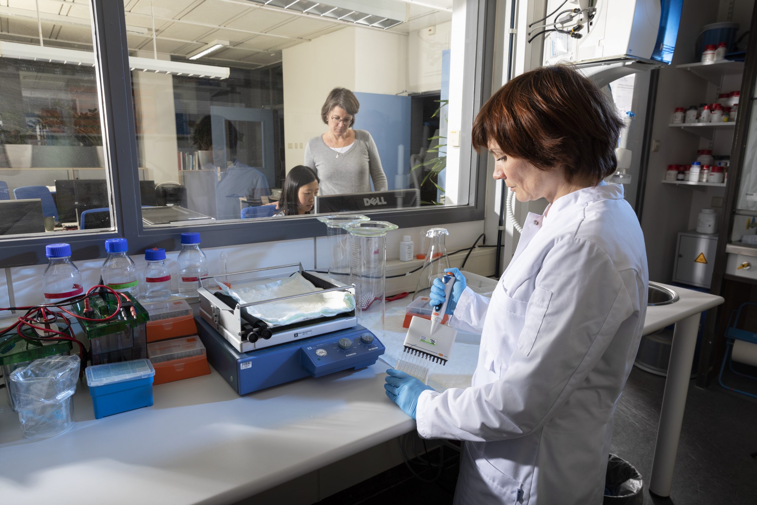 Lab Khondrion Lab Khondrion