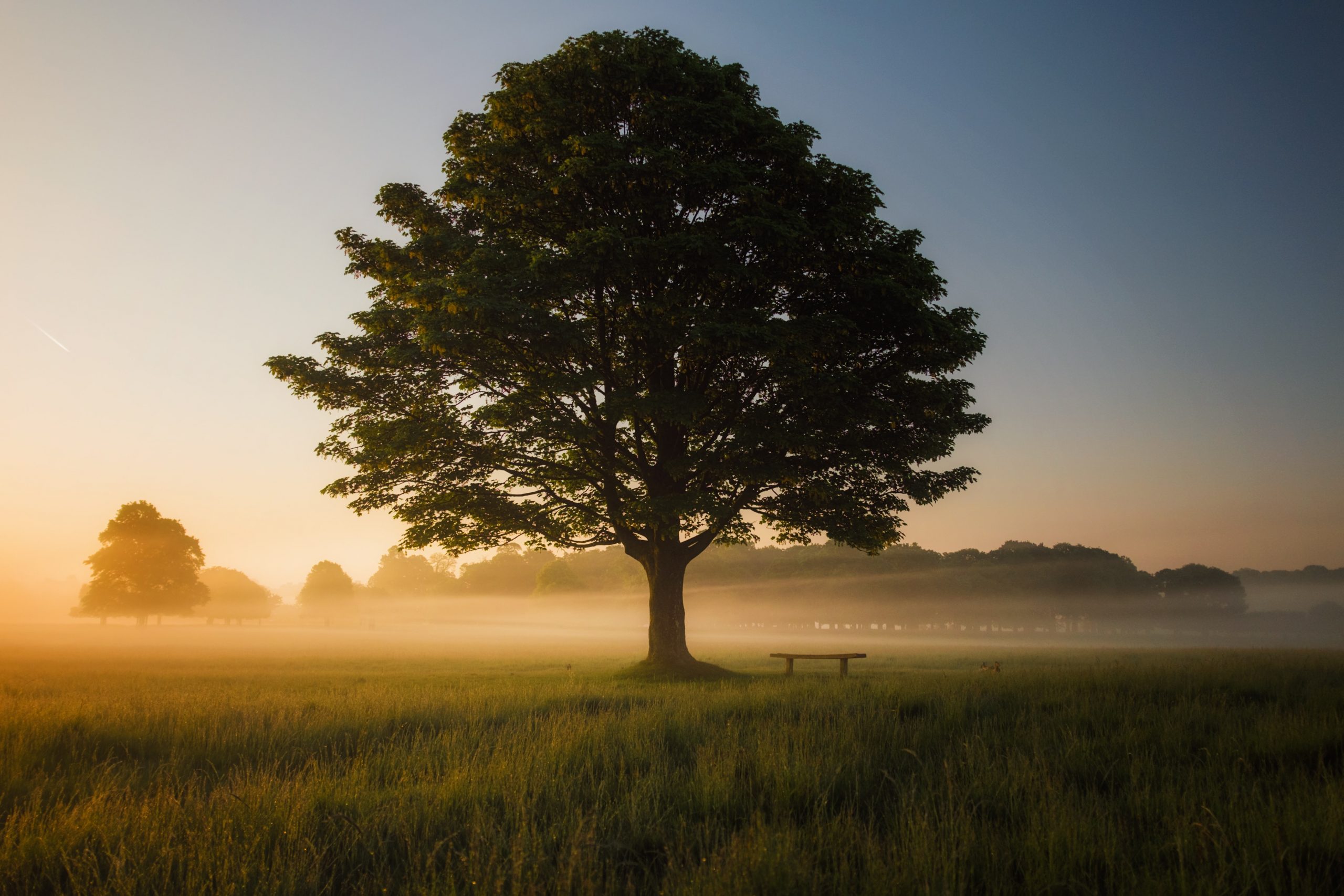 simon-wilkes-S297j2CsdlM-unsplash simon-wilkes-S297j2CsdlM-unsplash