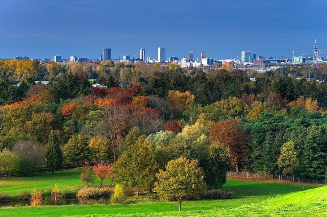 Eindhoven vanaf Gulberg archief EHVXL skyline van eindhoven