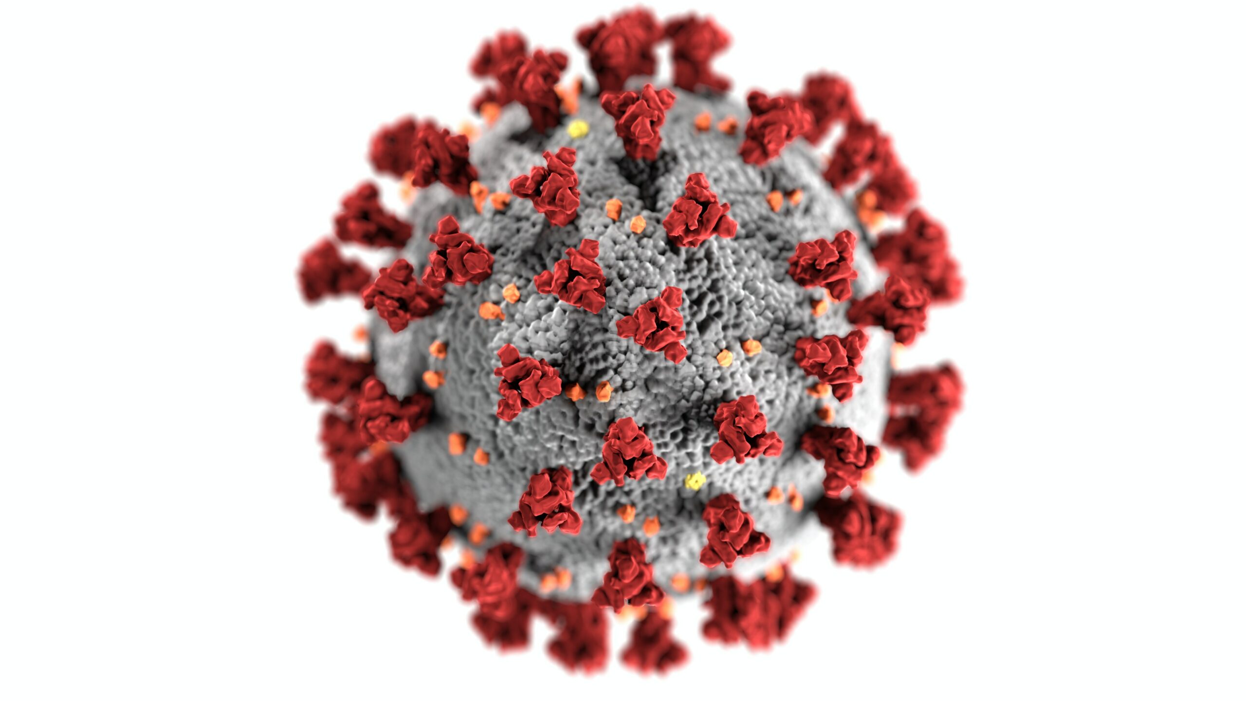 Photo by CDC from Pexels red corona virus graphic