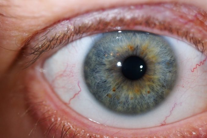 Oog met blauwe iris