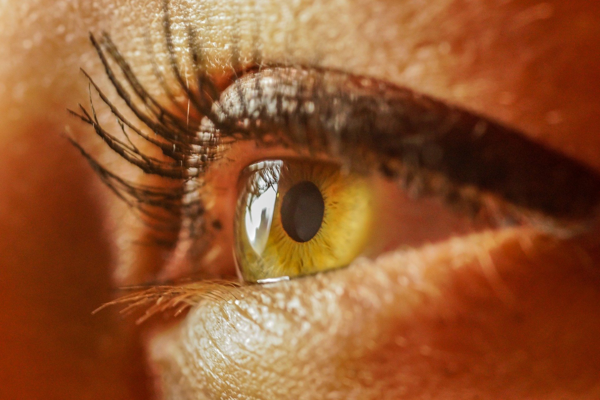 eye-g00d8a4374_1920 eye
