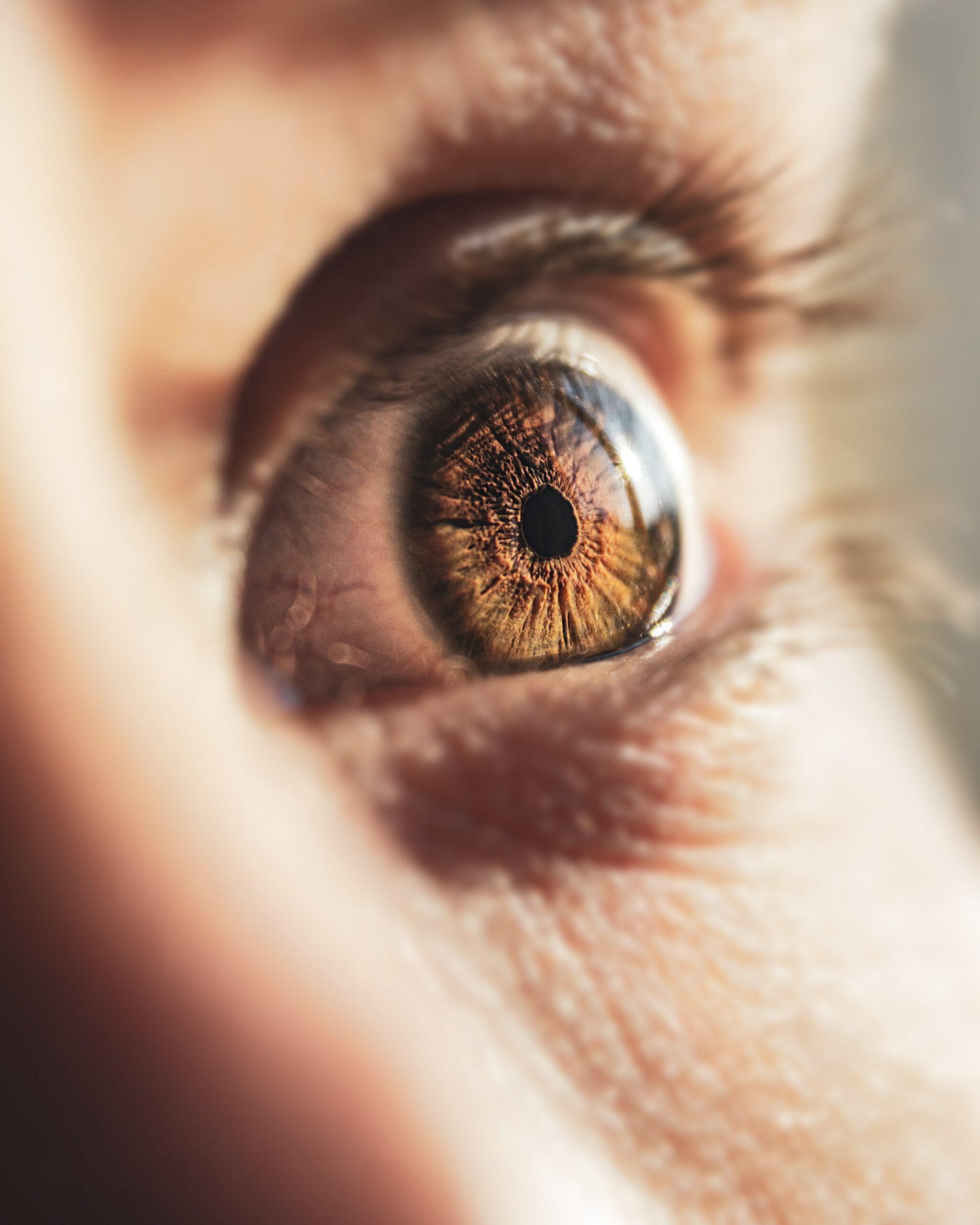 AI-systeem op basis van netvliesscan