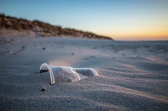 plastic cup on the beach