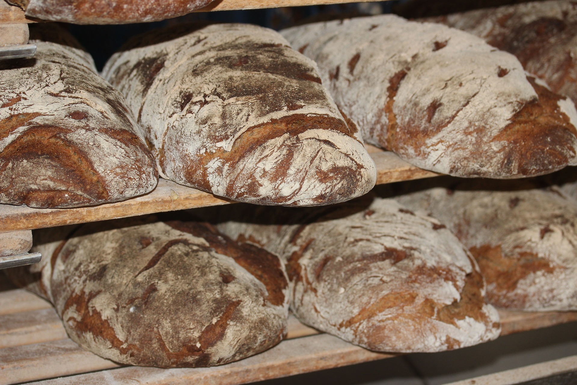 bread-388647_1920 pix