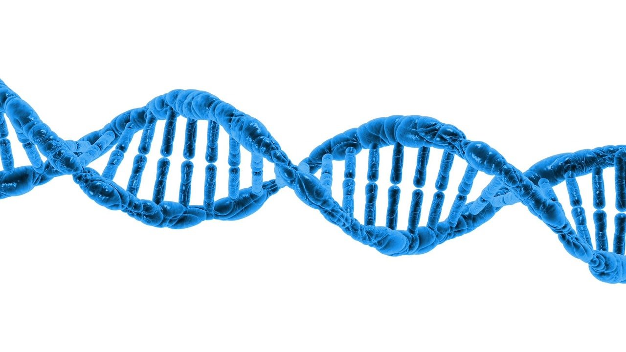 dna-g3e0e14985_1280 dna