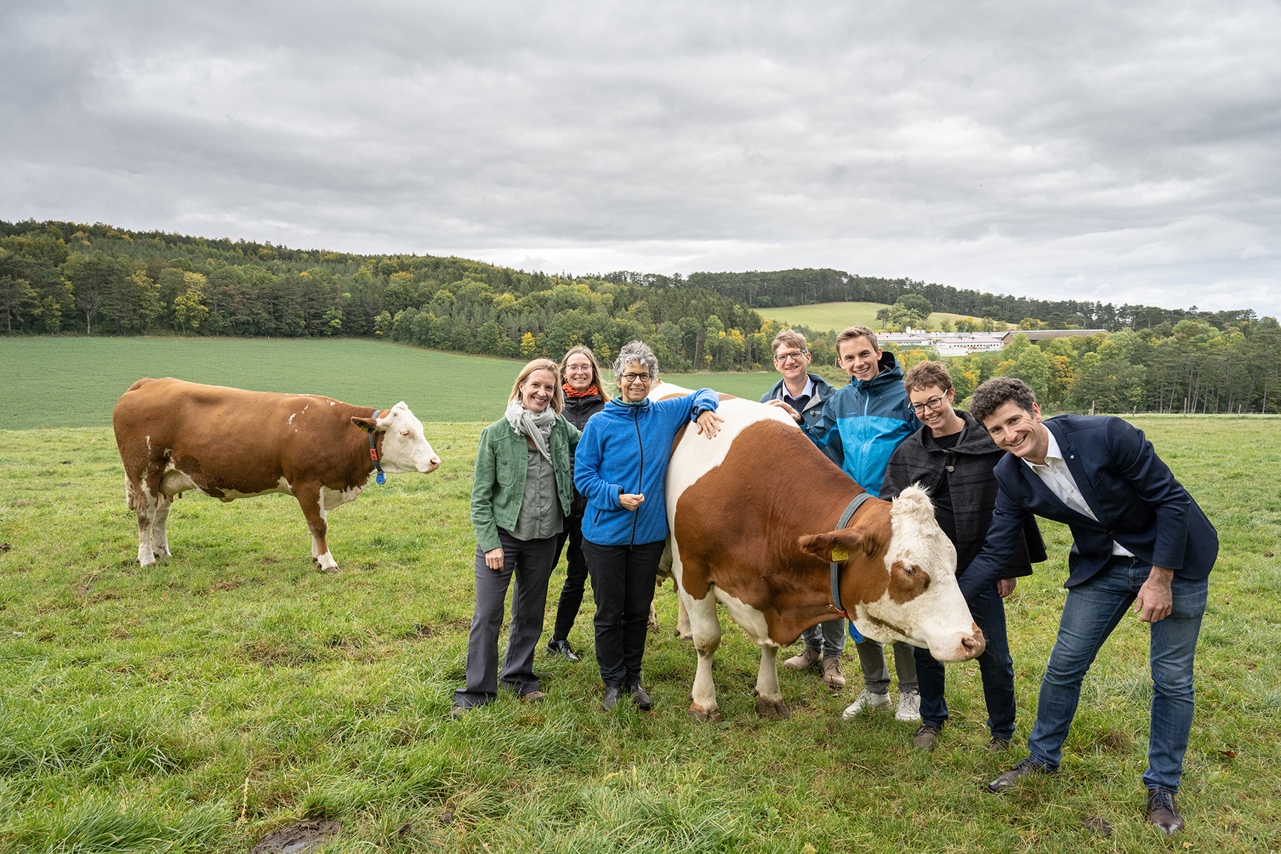 Milch und Rindfleisch, Lieferkette, fleischreduzierte Ernährung, vegan,