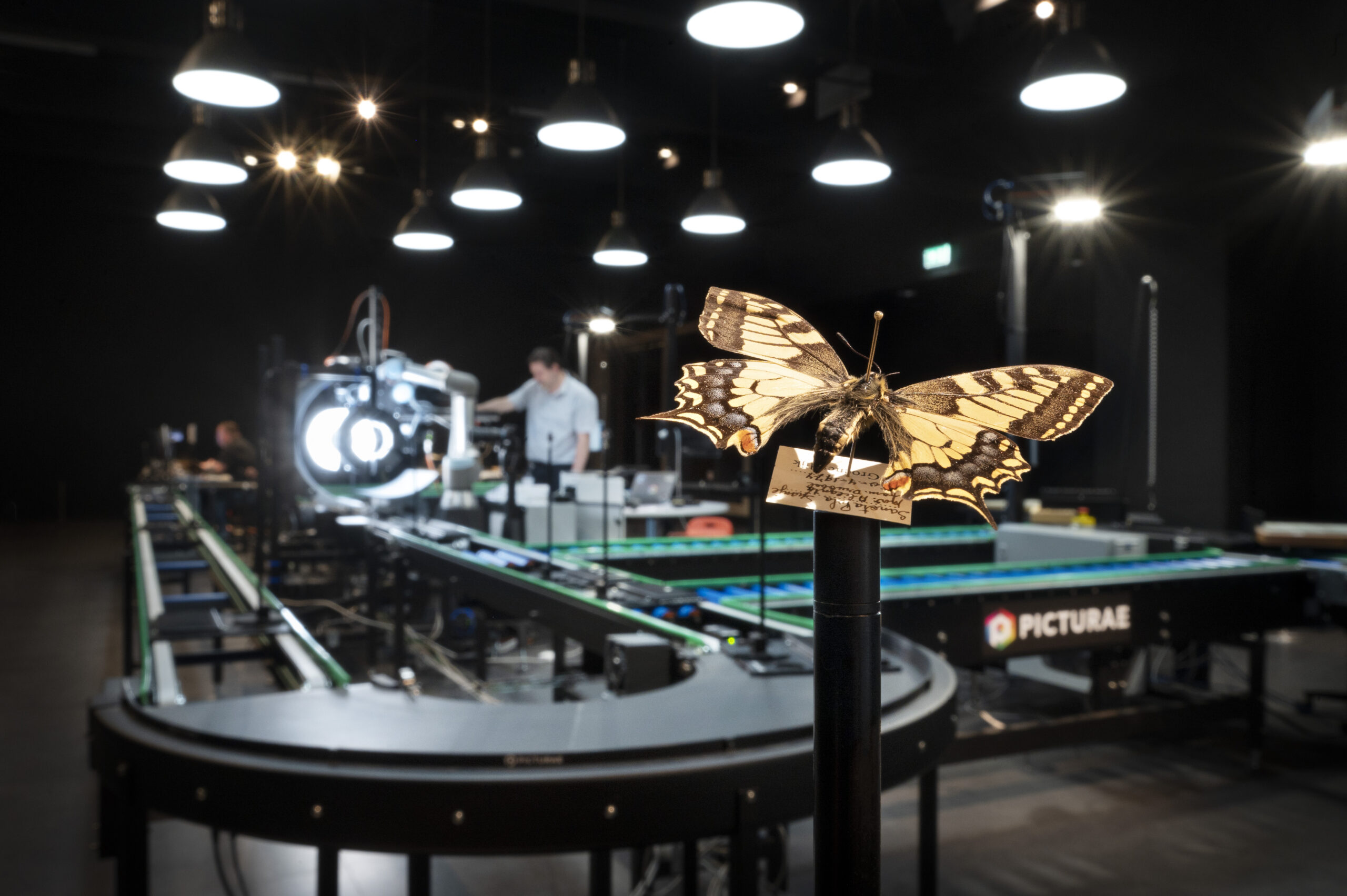 Picturae scanner wordt geïnstalleerd in Museum Naturalis. Picturae scanner wordt geïnstalleerd in Museum Naturalis.