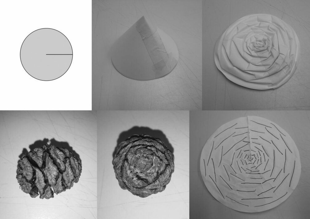 Formgebung, Textilarchitektur, Adaptive Skins, Jef Montes,
