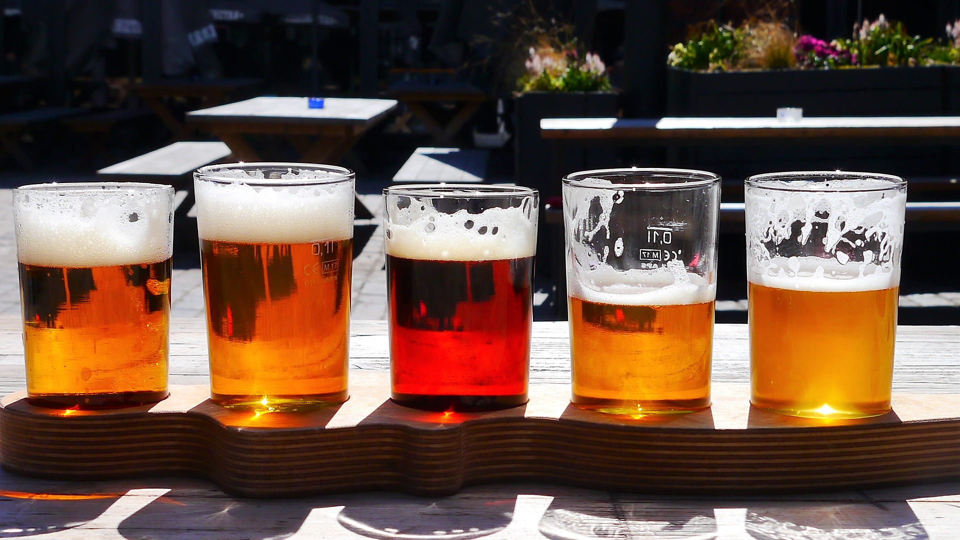 beer-2370783_1920 bier