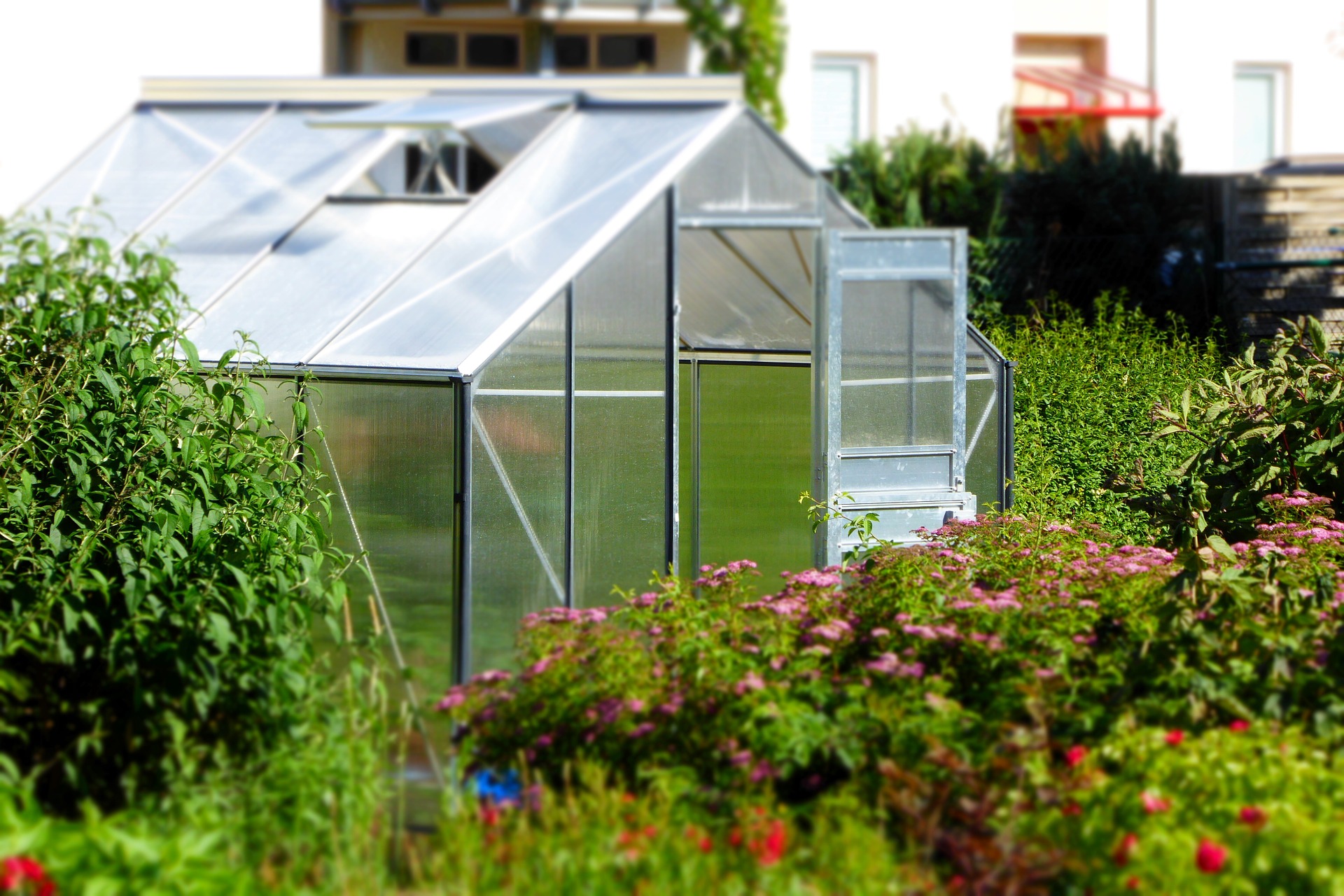 greenhouse-827464_1920 greenhouse-827464_1920