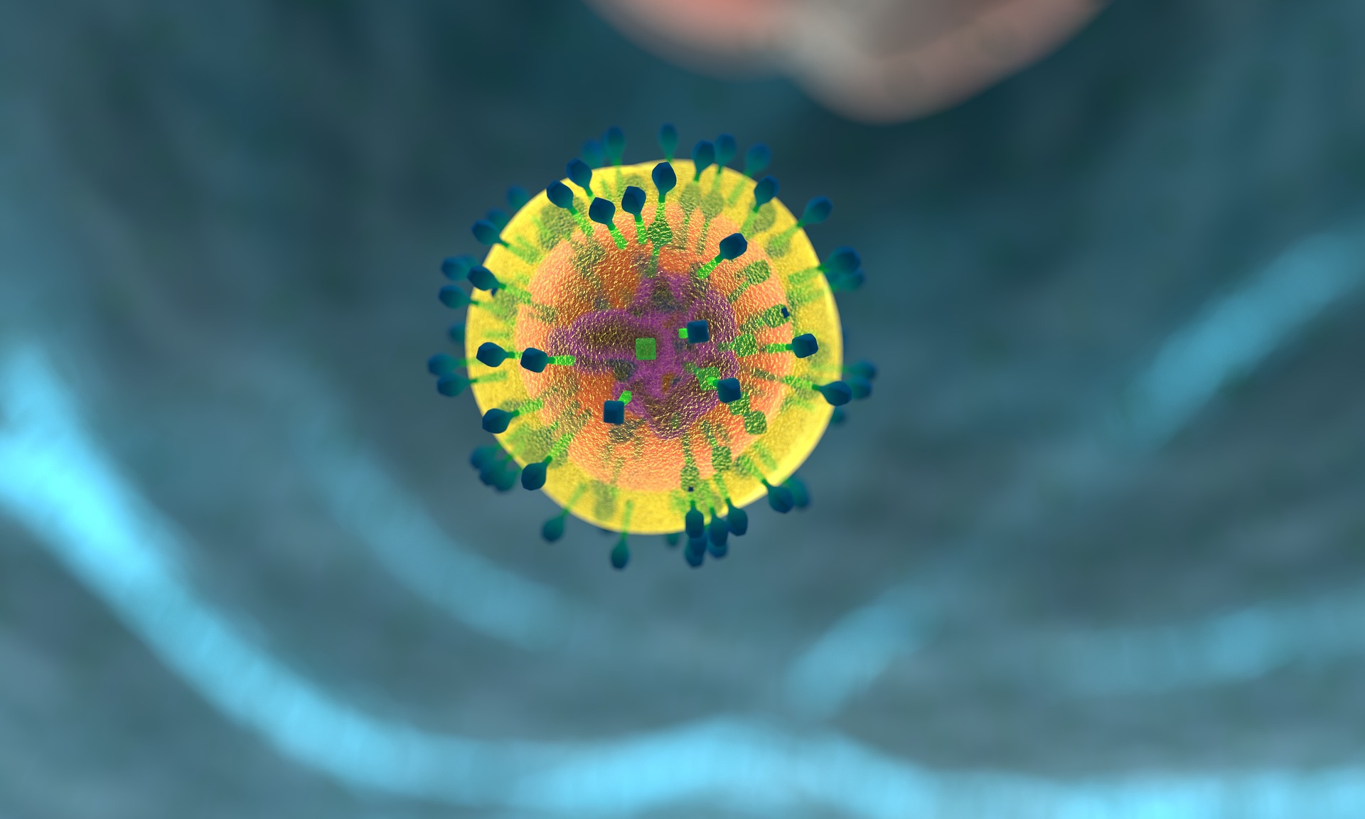 T-cell