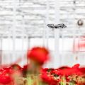 239-88f2bea6ef1b895845389480dae365af drone