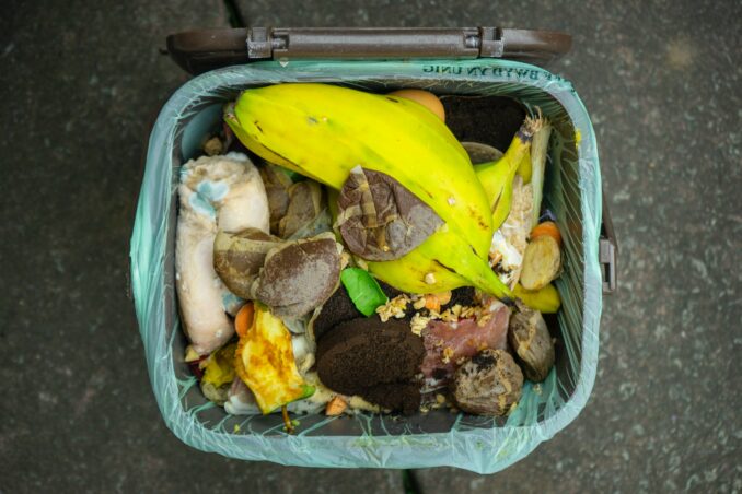 waste food