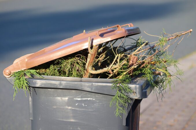 organic waste