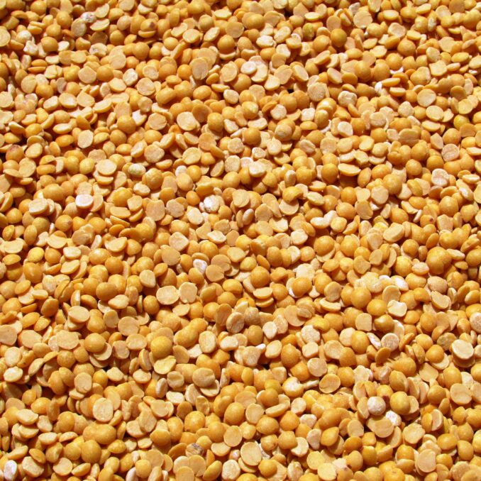 yellow pea